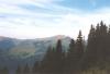 nizketatry64